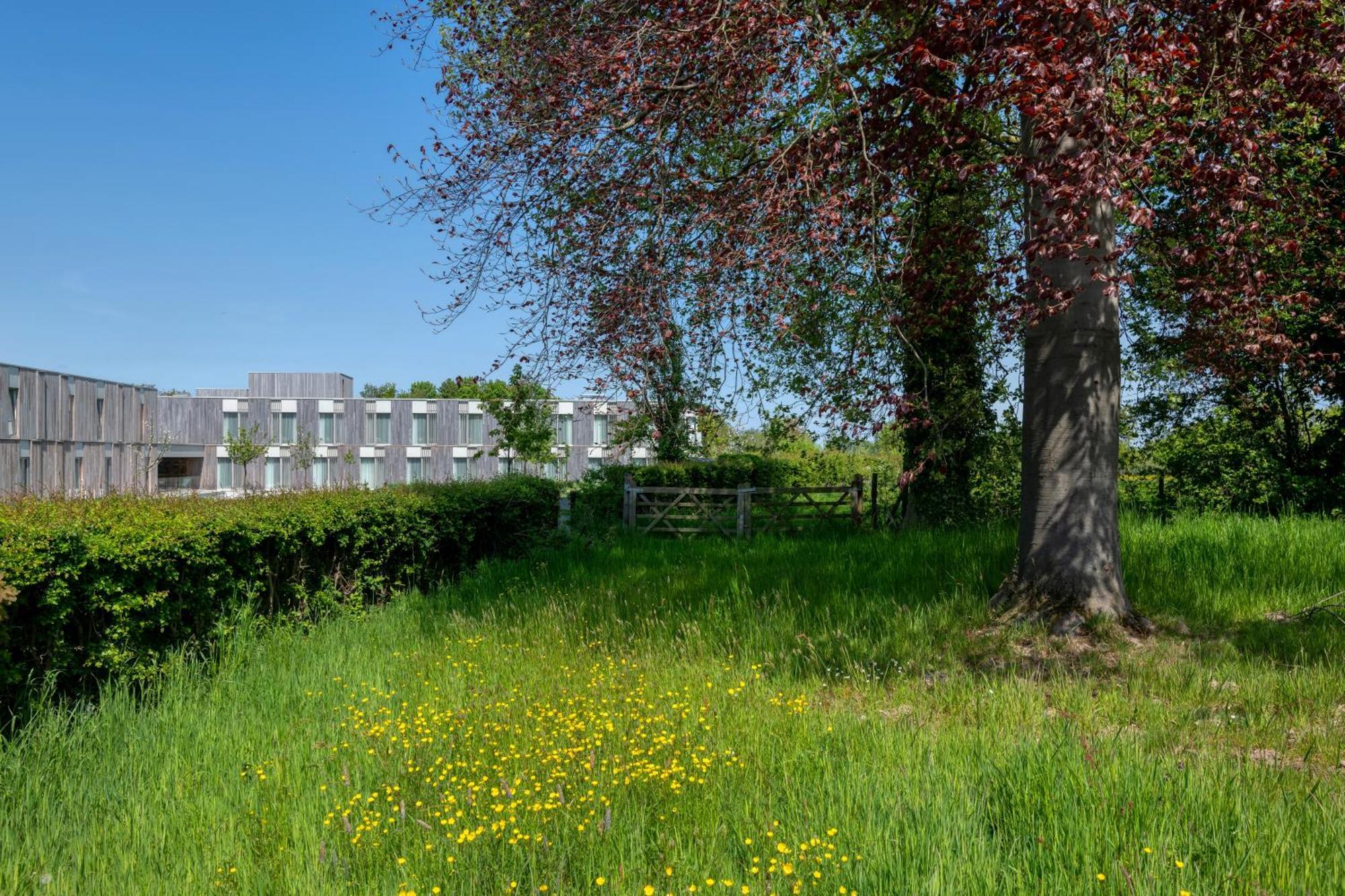 Martin'S Rentmeesterij Bilzen Exteriör bild