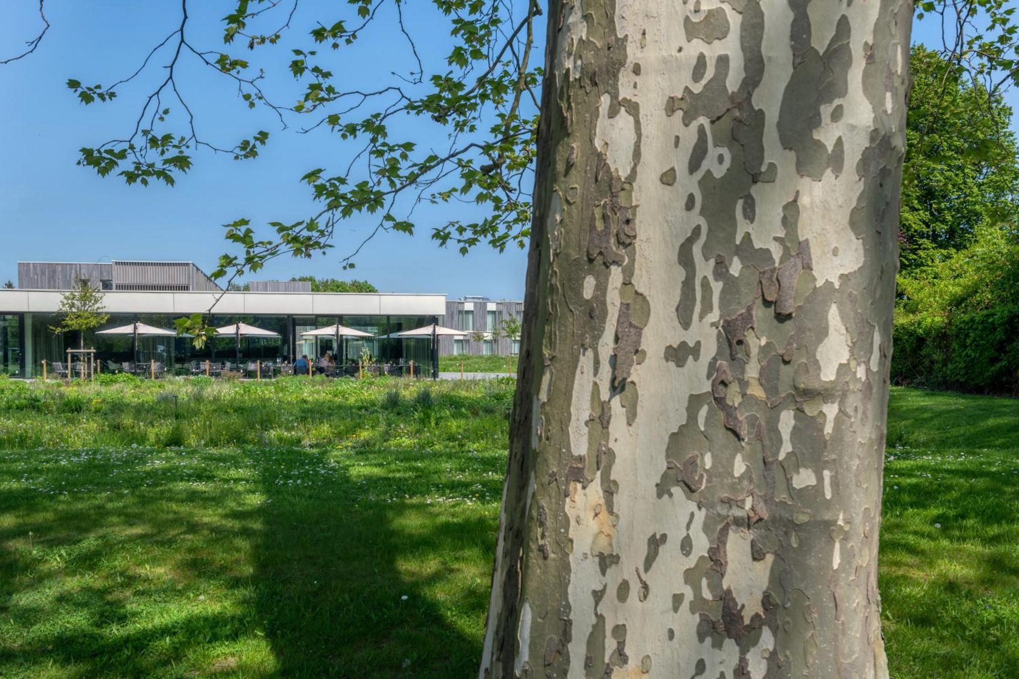 Martin'S Rentmeesterij Bilzen Exteriör bild